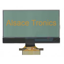 555001100101 - Écran LCD compteur PSA